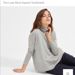 Everlane Luxe Wool Square Turtleneck